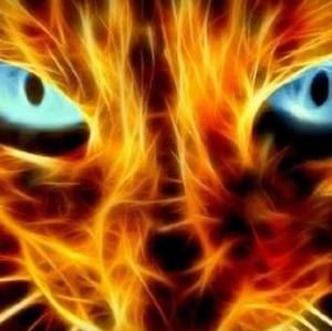 Meet your Posher, Dorie